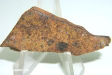diogenit